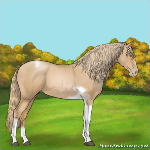 Horse Color:Red Roan Pearl Tobiano Frame