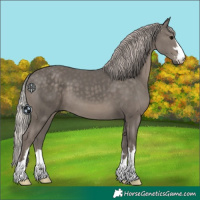 Horse Color:Silver Black 