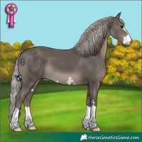Horse Color:Silver Black 