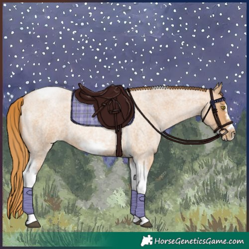 Horse Color:Red Roan Pearl Tobiano Frame 