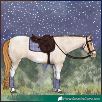 Horse Color:Red Roan Pearl Tobiano Frame 
