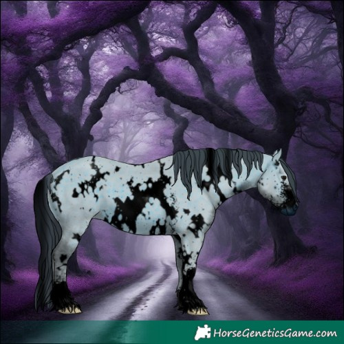 Horse Color:ERROR: UNKNOWN ANOMALY