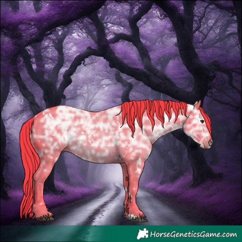 Horse Color:Watercolor White Spotted Liver Chestnut Ice 