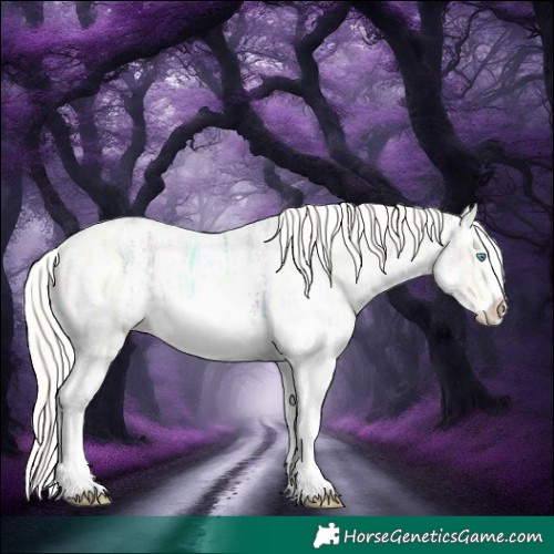 Horse Color:Gold Cream Champagne Ice Pearl Dun Sabino Rabicano 