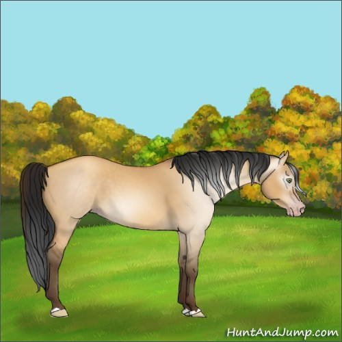 Horse Color:Gray Amber Champagne Dun