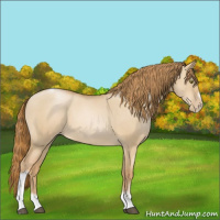 Horse Color:Red Dun Roan Pearl Tobiano Frame 