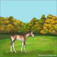 Horse Color:Gray Red Onyx Mushroom 