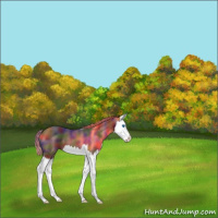 Horse Color:Nacre Brown Splash 