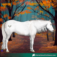 Horse Color:Gray Silver Black Pearl Tobiano