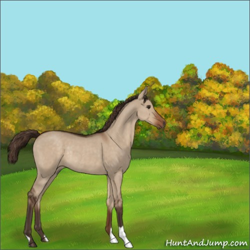 Horse Color:Liver Red Dun Rabicano 