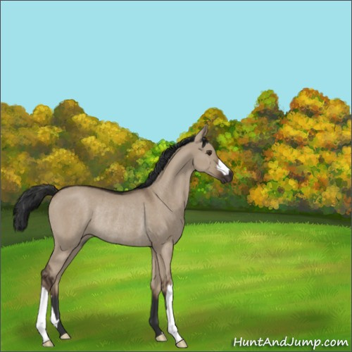 Horse Color:Liver Red Dun Rabicano 