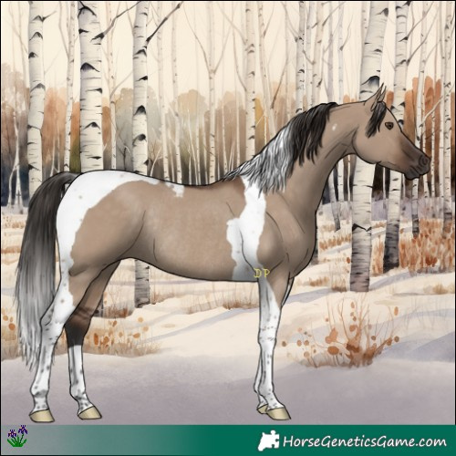Horse Color:Liver Red Dun Tobiano Rabicano 