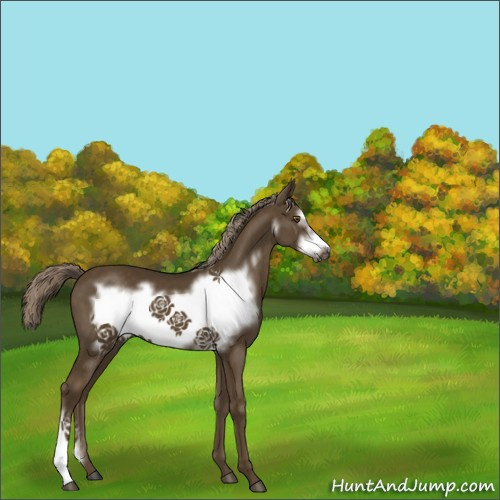 Horse Color:Chocolate Palomino Frame 