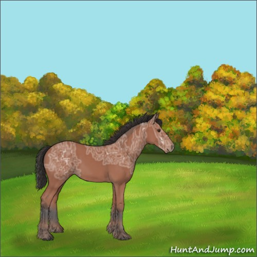 Horse Color:Bay Ice 