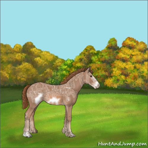 Horse Color:Chestnut Ice Sabino Frame 