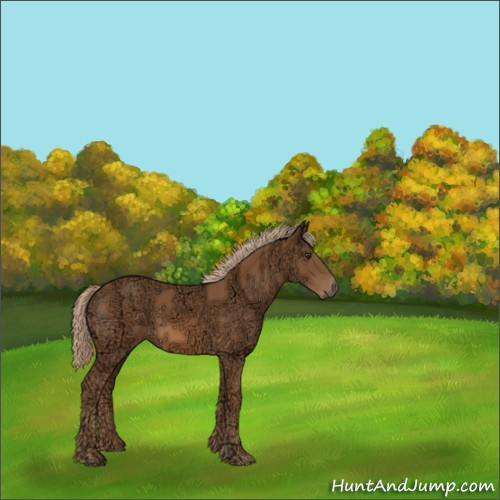Horse Color:Chestnut Ice 