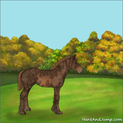 Horse Color:Chestnut Ice 