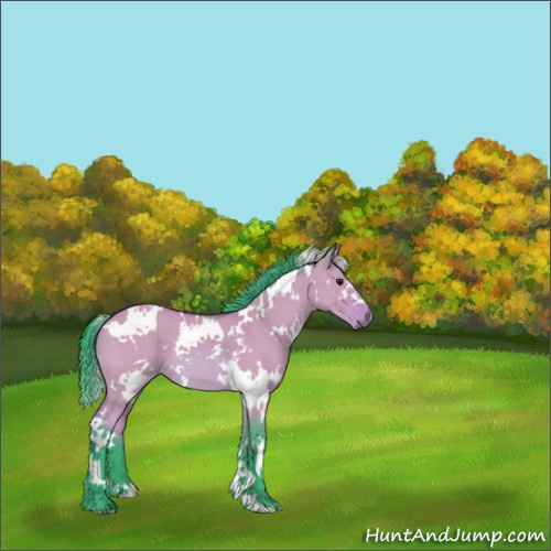 Horse Color:Watercolor White Spotted Bay Dun 