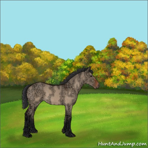 Horse Color:Brown Ice Dun Rabicano 