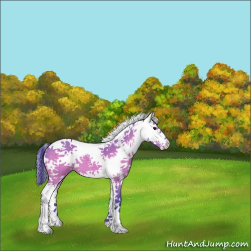 Horse Color:Watercolor White Spotted Bay Dun 