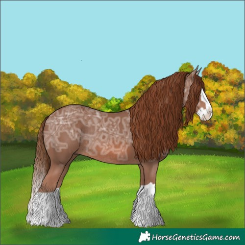 Horse Color:Chestnut Ice Splash Rabicano 