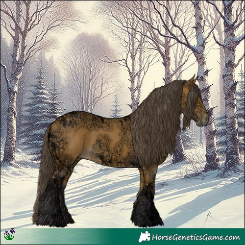 Horse Color:Buckskin Ice Rabicano 