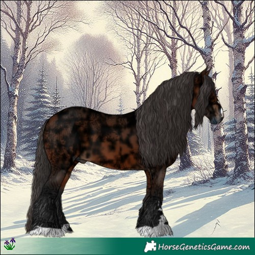 Horse Color:Bay Ice 