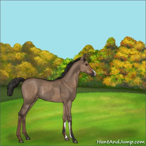 Horse Color:Liver Red Dun Rabicano  and Liver Red Dun Rabicano 
