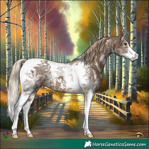 Horse Color:Chocolate Palomino Sabino Tobiano