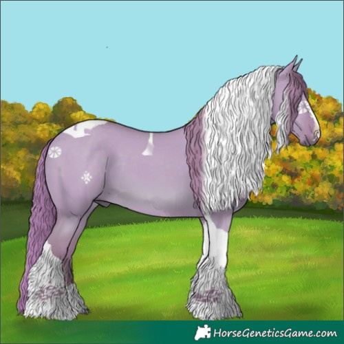 Horse Color:Watercolor Red Dun Tobiano 