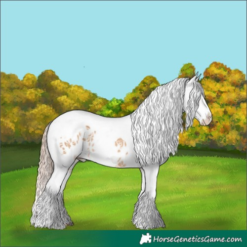 Horse Color:White Spotted Red Dun Tobiano Appaloosa Rabicano 