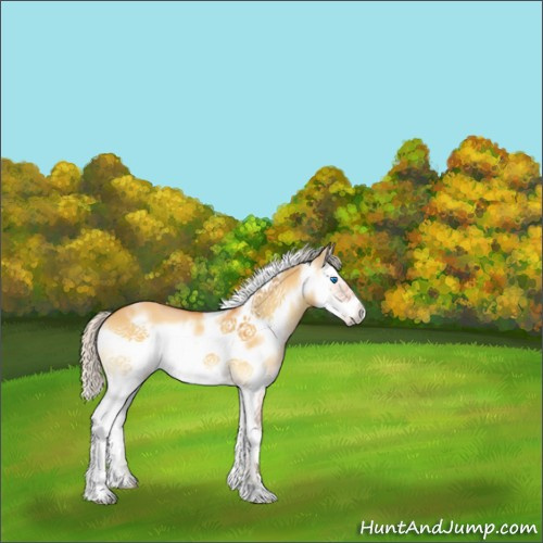 Horse Color:White Spotted Silver Buckskin Onyx Splash Frame 