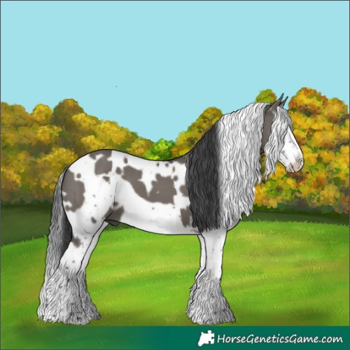Horse Color:White Spotted Grullo Splash Frame 