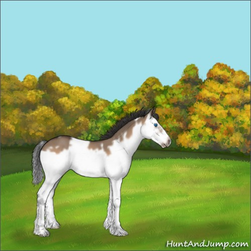 Horse Color:White Spotted Bay Roan Dun Splash Frame 