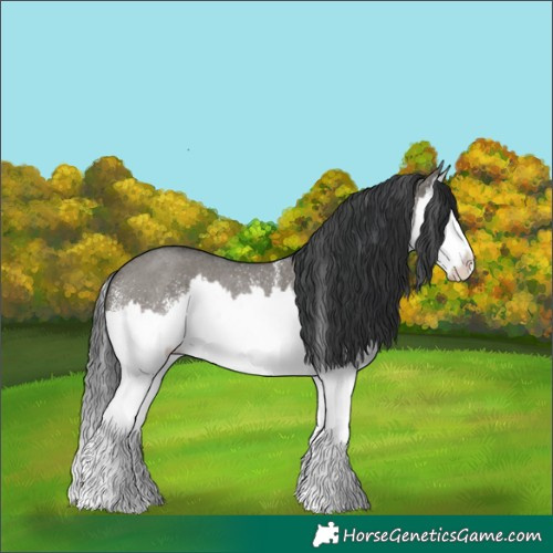 Horse Color:White Spotted Grullo Splash Rabicano 
