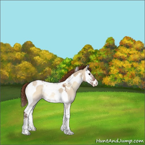 Horse Color:Red Dun Roan Onyx Splash Tobiano Rabicano 