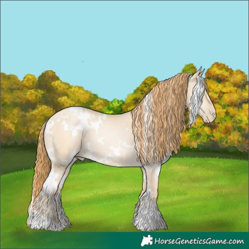 Horse Color:White Spotted Smoky Grullo Pearl 