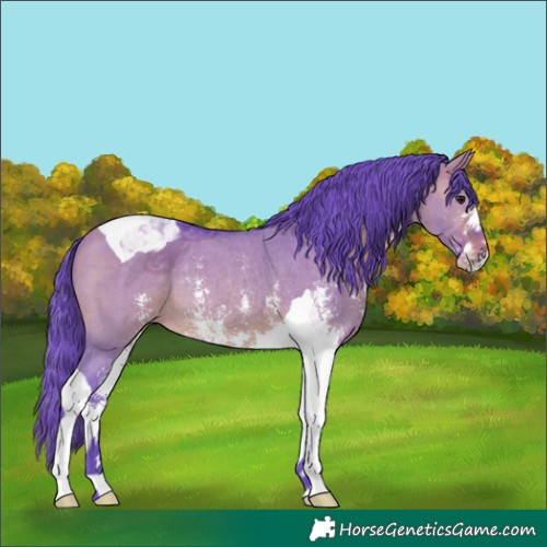 Horse Color:Watercolor Brown Dun Sabino Tobiano Rabicano 