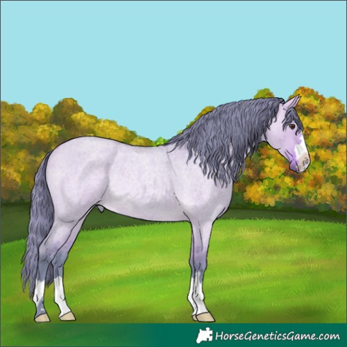 Horse Color:Watercolor Buckskin Roan Dun Rabicano 
