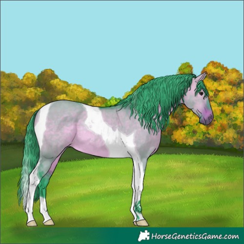 Horse Color:Watercolor Brown Dun Tobiano Rabicano 