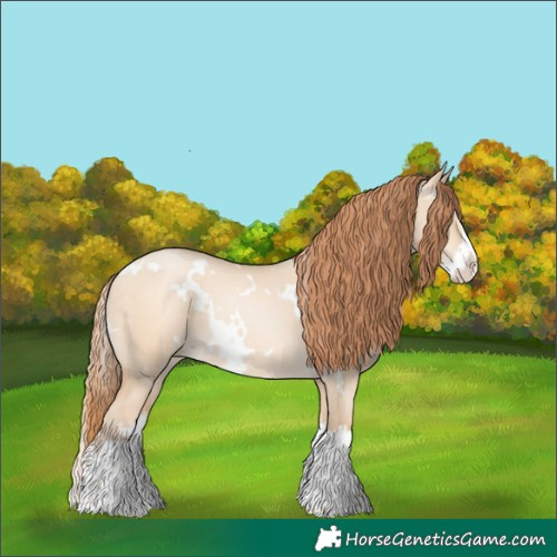 Horse Color:White Spotted Buckskin Pearl Dun Splash 
