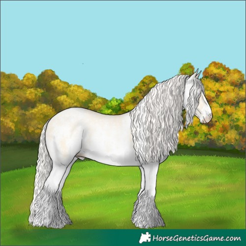 Horse Color:White Spotted Silver Amber Cream Champagne Pearl Dun 