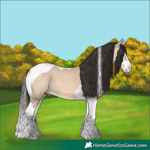 Horse Color:Bay Dun Splash Tobiano 