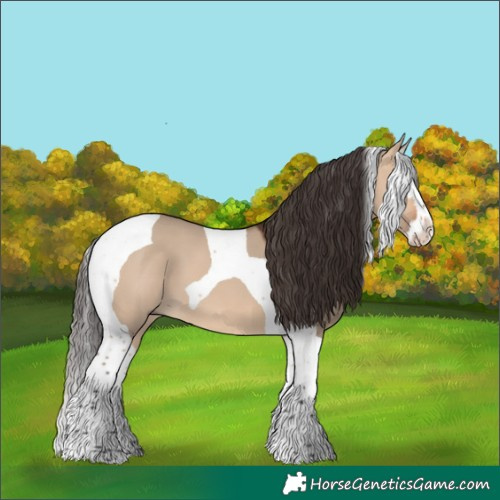 Horse Color:Bay Dun Splash Tobiano 