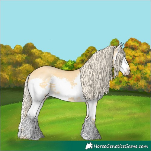 Horse Color:Palomino Dun Splash 