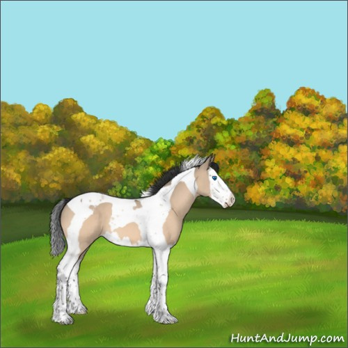 Horse Color:Bay Dun Splash Tobiano 