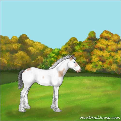 Horse Color:Bay Roan Dun Splash Tobiano Frame 