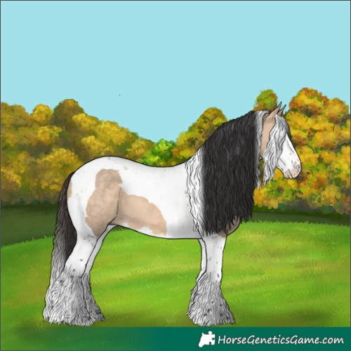 Horse Color:Bay Dun Splash Tobiano 