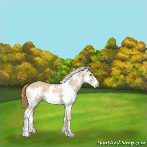 Horse Color:Red Dun Roan Splash Frame 