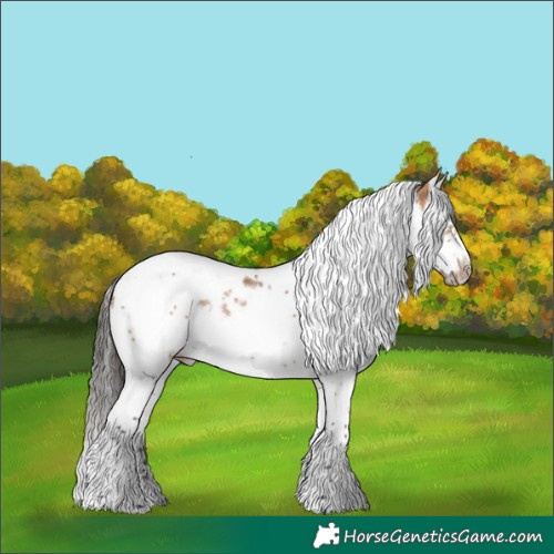 Horse Color:Bay Dun Splash Tobiano Frame Rabicano 